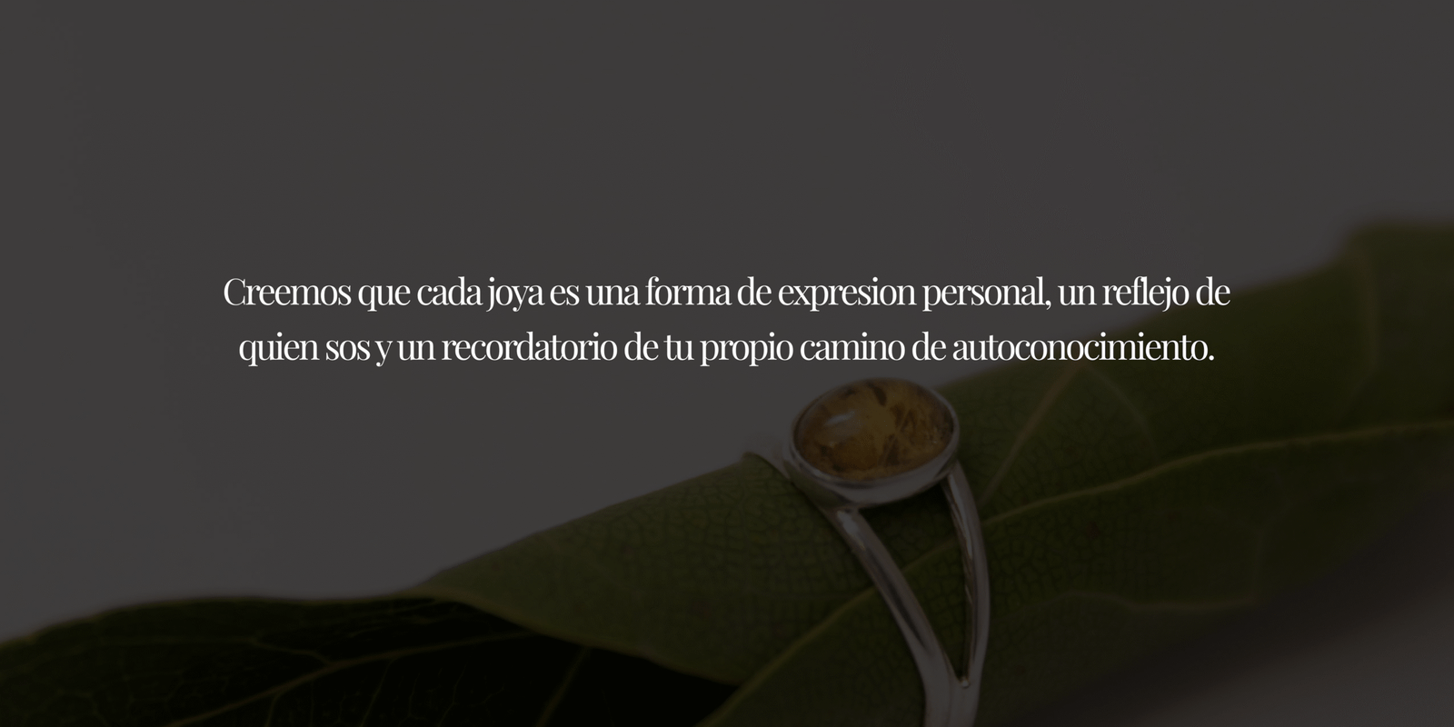Copia de 3 cuotas sin interés en todos nuestros productos. (7)
